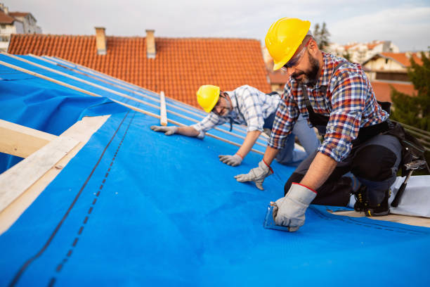 Roof Gutter Cleaning in Belmont, VA
