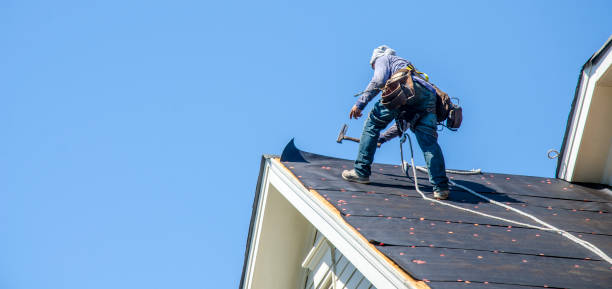 Best Gutter Installation and Roofing  in Belmont, VA